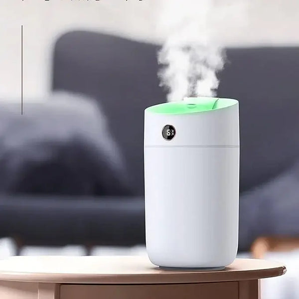 Portable Mist Humidifier